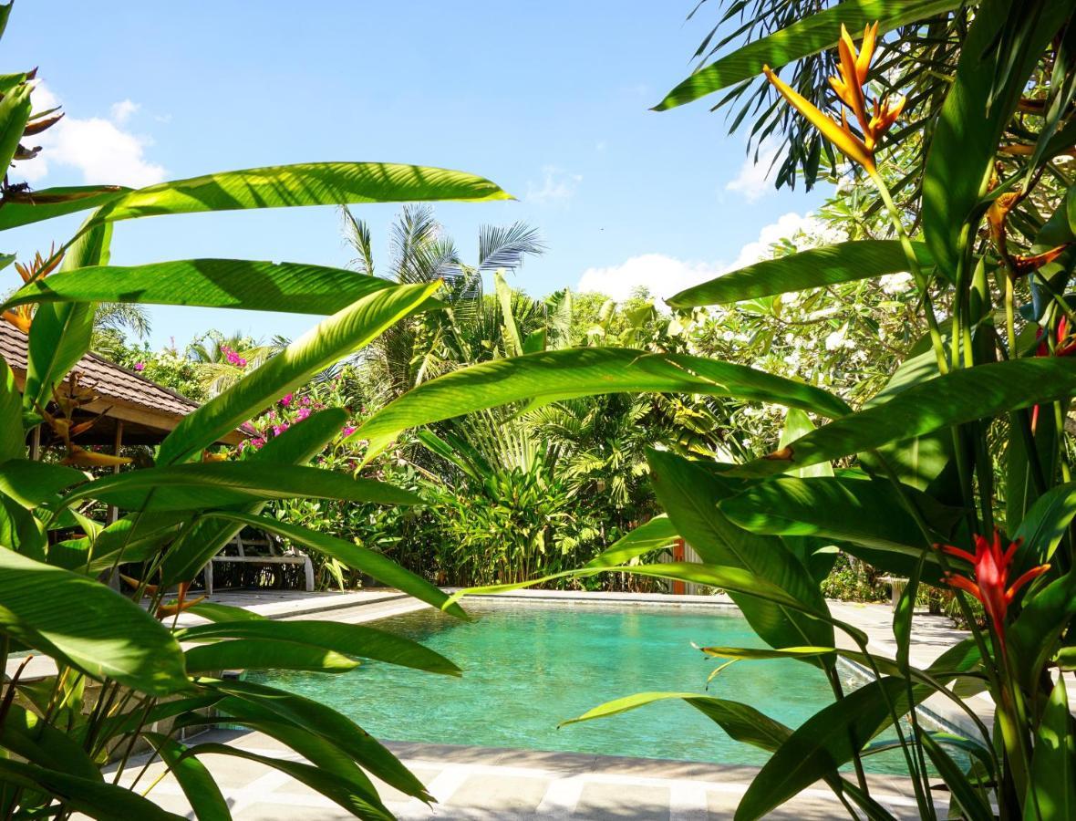 Ibludan Hotel Senggigi Eksteriør billede