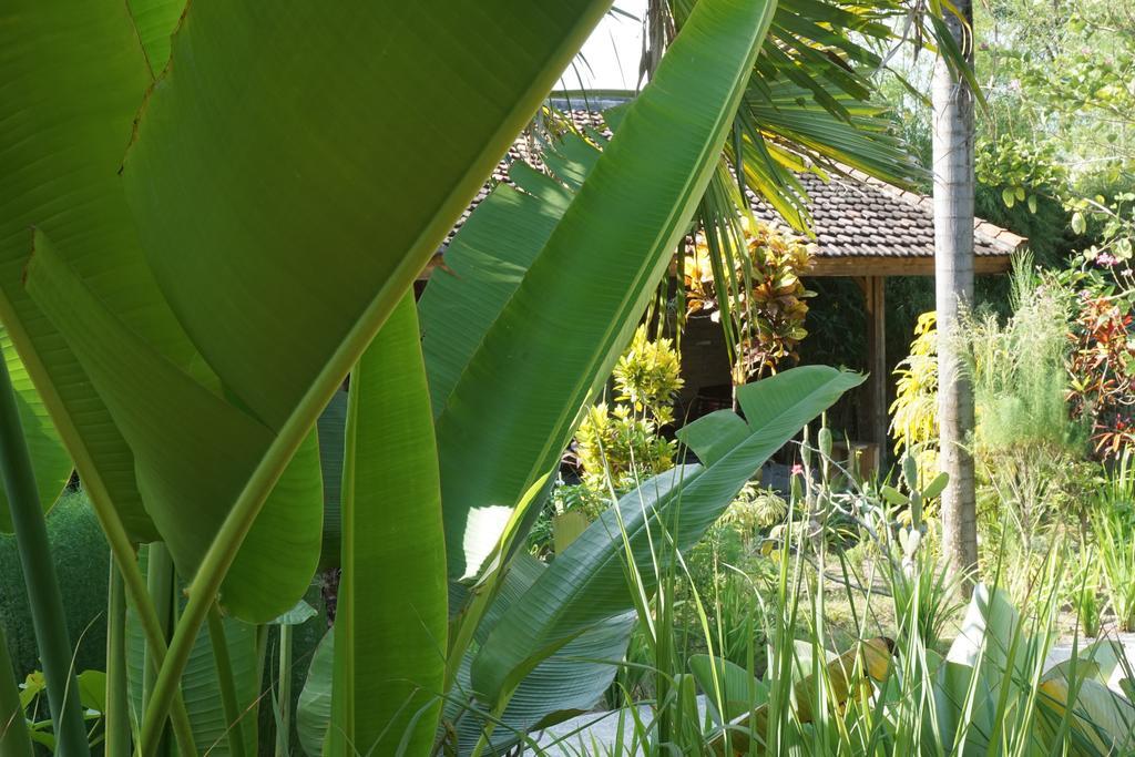 Ibludan Hotel Senggigi Eksteriør billede