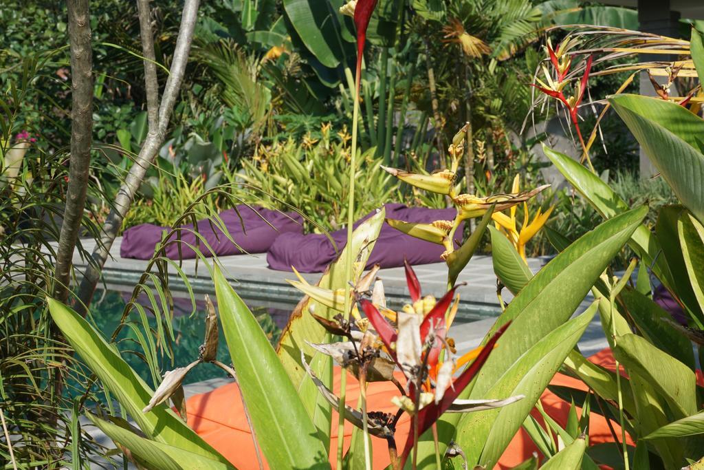 Ibludan Hotel Senggigi Eksteriør billede